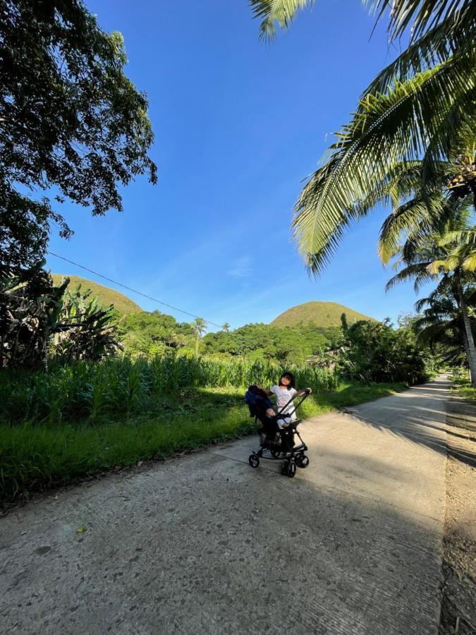 Bed and Breakfast Casa Aguelo Chocolate Hills Carmen  Екстер'єр фото