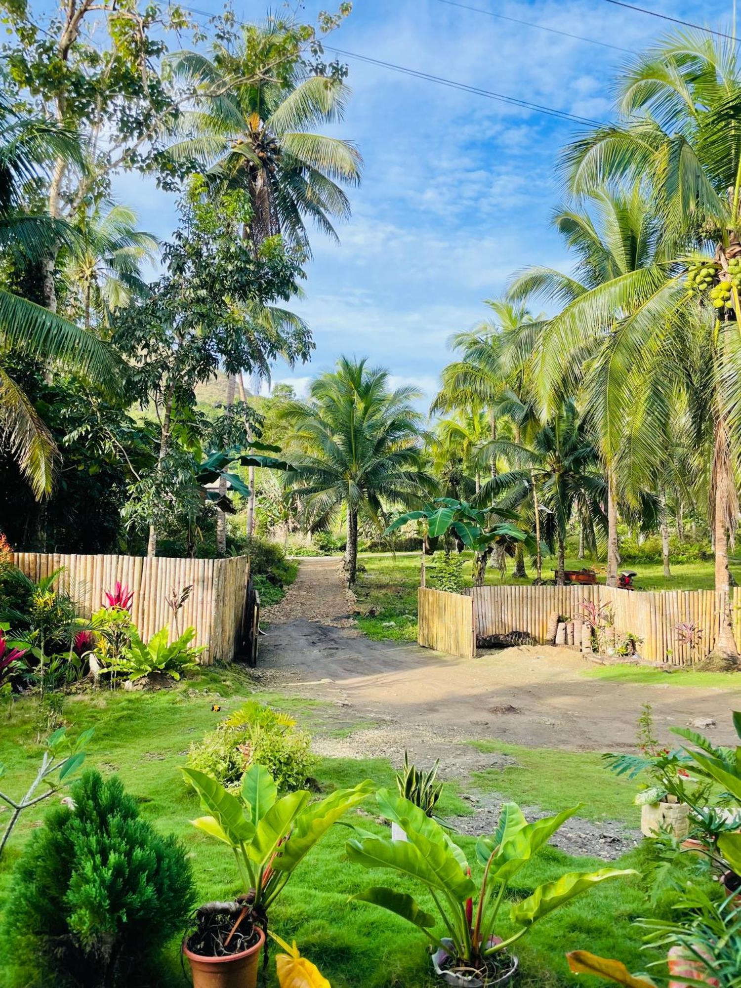 Bed and Breakfast Casa Aguelo Chocolate Hills Carmen  Екстер'єр фото