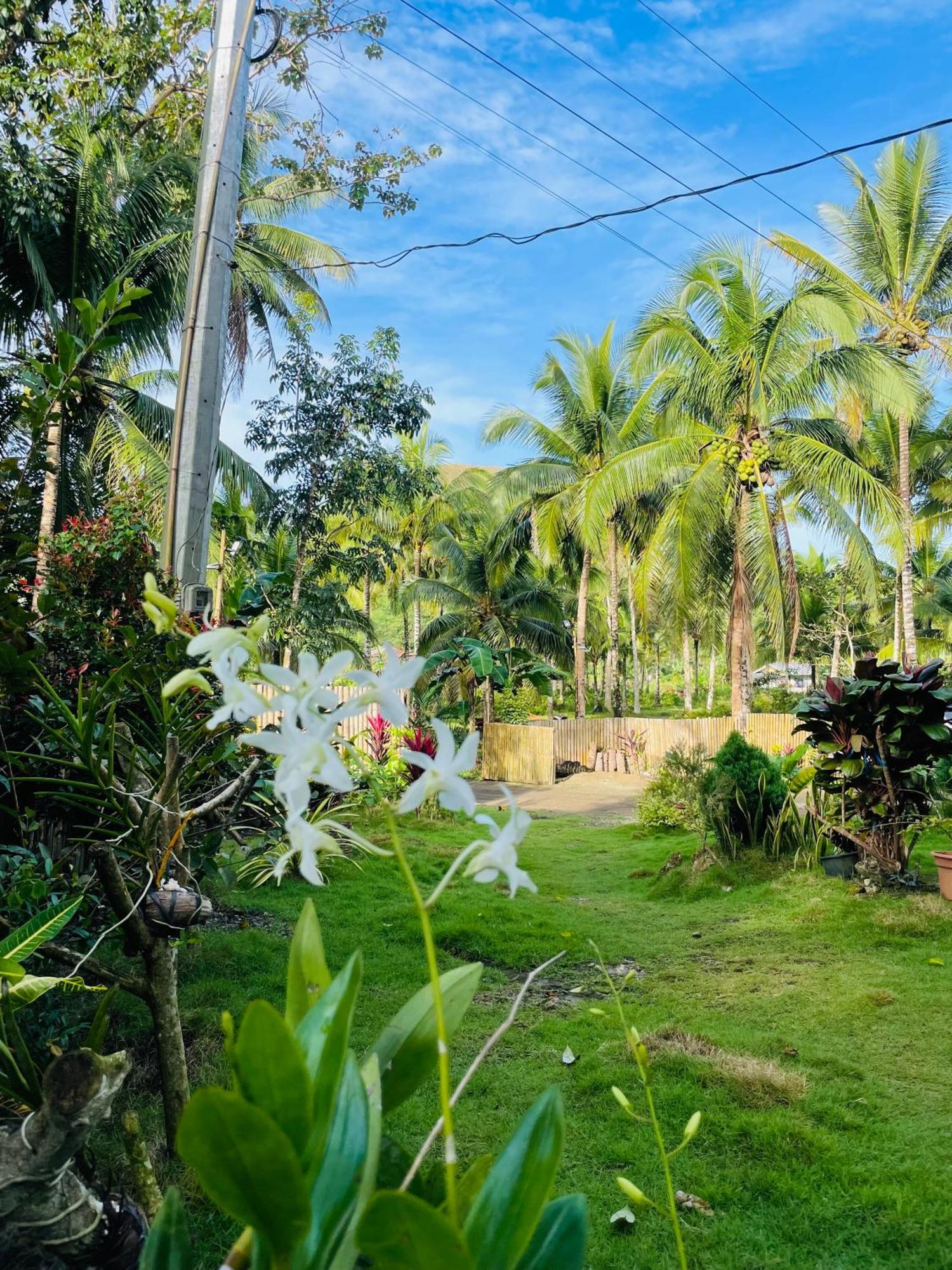 Bed and Breakfast Casa Aguelo Chocolate Hills Carmen  Екстер'єр фото